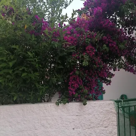 Danai's Little Vakantiehuis Nydri (Lefkada)